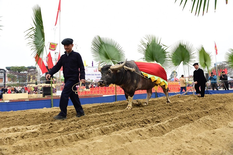 Tay minority people in Tuyen Quang celebrate spring festival (Photo: NDO)