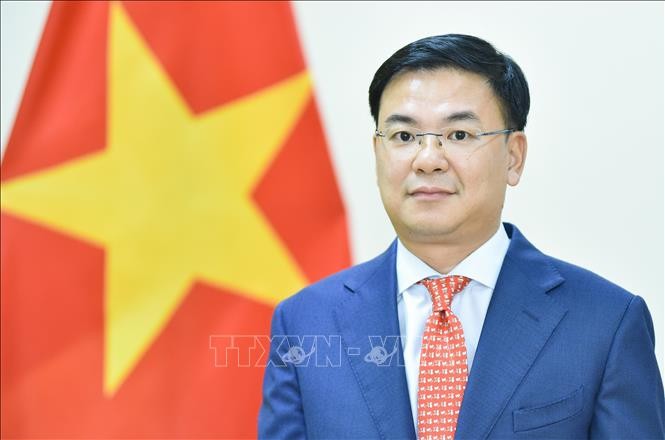 Deputy Foreign Minister and Chairman of the State Committee for OV Affairs Pham Quang Hieu. (Photo: VNA)
