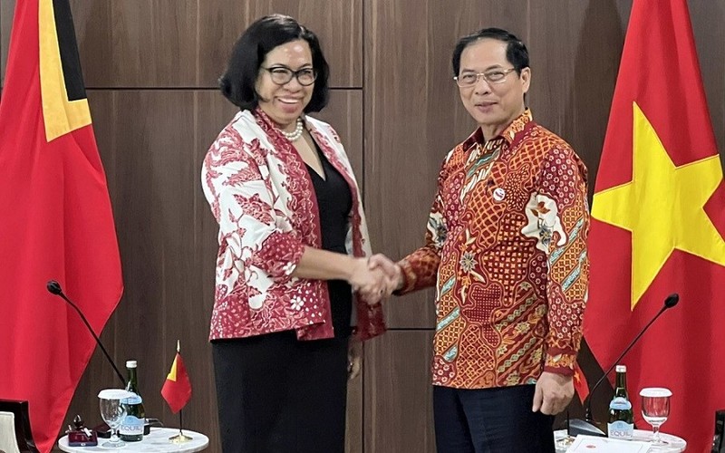 Foreign Minister Bui Thanh Son (R) and Minister of Foreign Affairs and Cooperation of Timor Leste Adaljiza Albertina Xavier Reis Magno at the meeting (Photo: VNA)