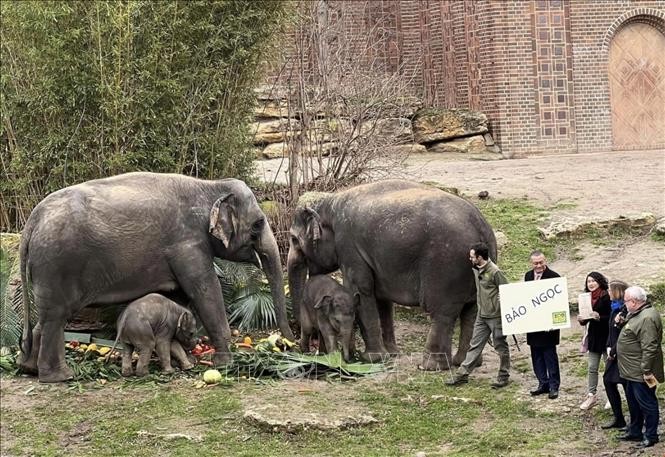 Vietnamese Ambassador to Germany Vu Quang Minh holds a board saying the name of the new born elephant at Germany's Leipzig Zoo. (Photo: VNA)