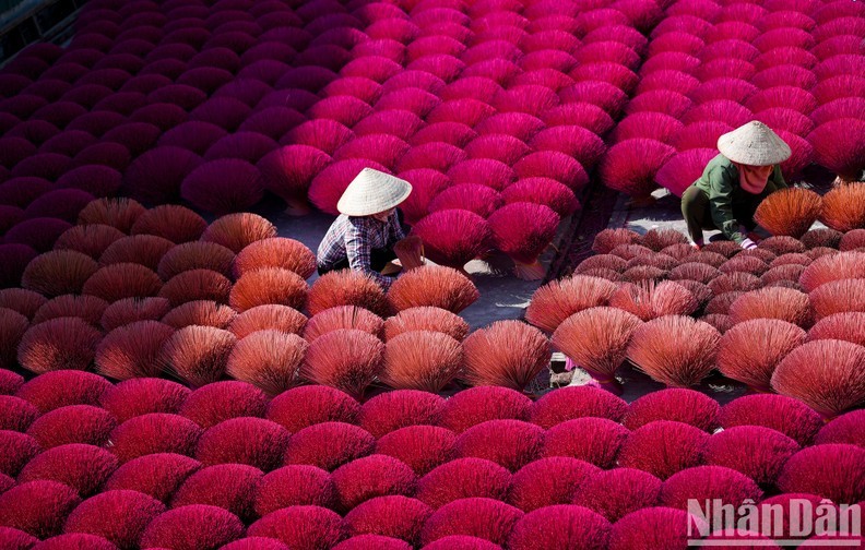 Quang Phu Cau village is famous for its incense business (Photo: NDO/Thanh Dat)