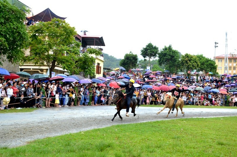 A horse race will be held within the framework of the 2023 Bac Ha White Plateau Festival