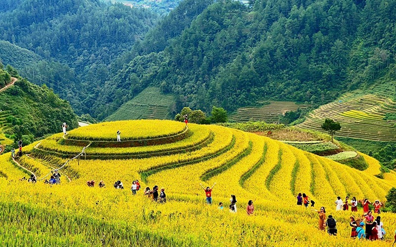 Tourists explore the beauty of terraced fields in La Pan Tan Commune, Mu Cang Chai District, Yen Bai Province. (Photo by Hanh Hoang)