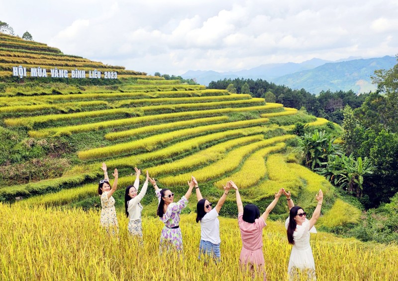 Visitors take photos in ripening rice fields in Binh Lieu District (Photo: baoquangninh.vn)