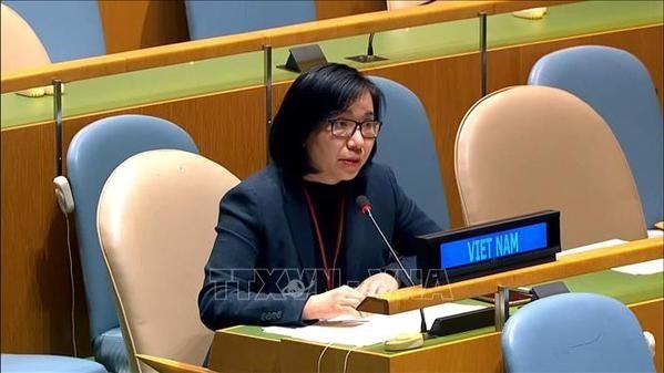 Ambassador Nguyen Phuong Tra, Chargé d'affaires of the Vietnamese Delegation to the United Nations (Photo: VNA)