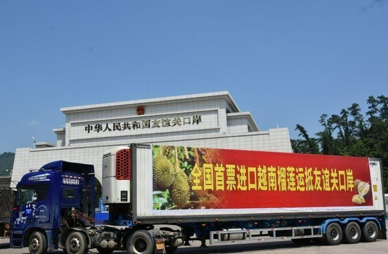 The first shipment of Vietnamese durians exported to China through Huu Nghi Quan border gate, Guangxi. (Photo: Guangxi Daily)