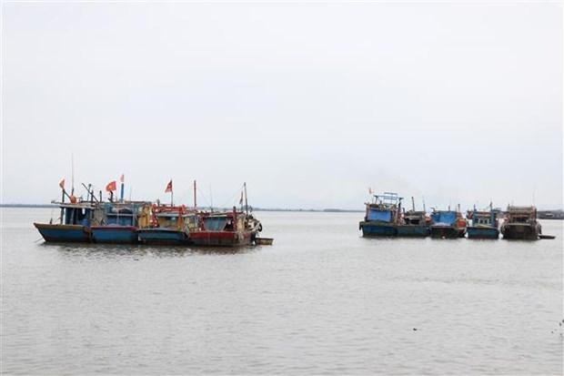 Fishing vessels of Quang Tri province (Photo: VNA)