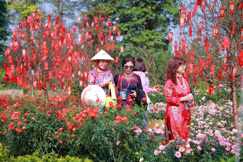 Tourists visit a flower street in Hanoi. (Photo: Home Hanoi Xuan)