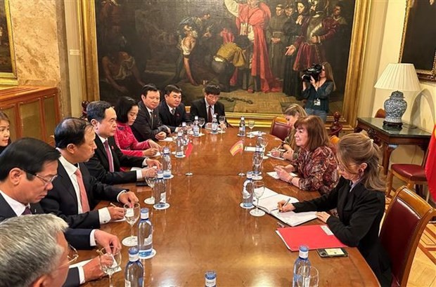 NA Vice Chairman Tran Thanh Man holds talks with Vice President of the Spanish Senate Cristina Narbona in Madrid on March 16. (Photo: VNA)