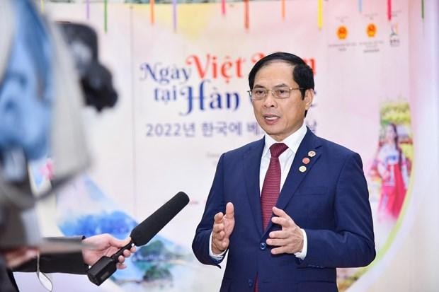 Minister of Foreign Affairs Bui Thanh Son in an interview granted to the media (Photo: VNA)