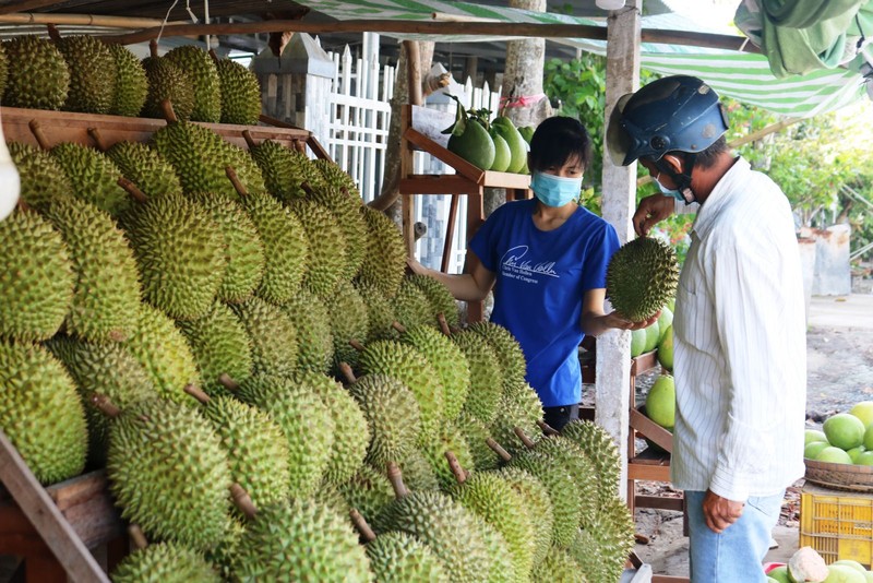 A stall selling durians in Can Tho. (Photo: Bao Can Tho)