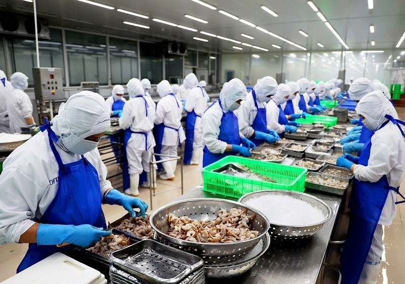 A shrimp processing factory in Ho Chi Minh City.