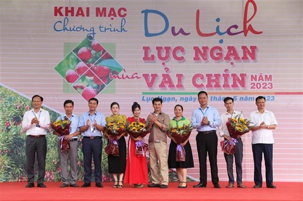 Bac Giang kick starts tourism promotion programme in lychee harvest season (Photo: VNA)