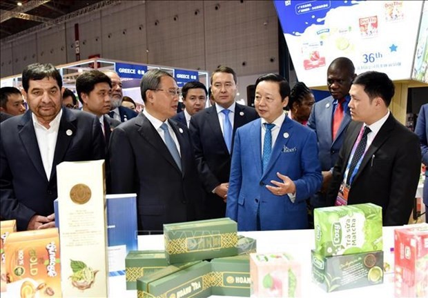 Deputy Prime Minister Tran Hong Ha at the event. (Photo: VNA)