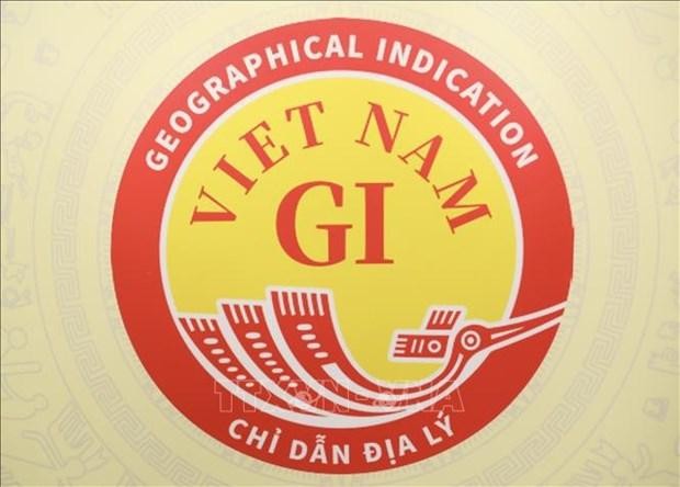 The logo of Vietnam National Geographical Indication was unveiled at a hybrid event held on October 28. (Photo: VNA)