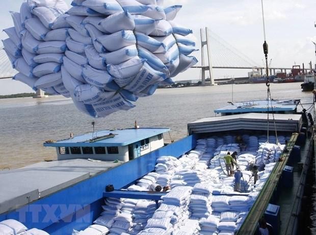 Vietnam exported 6.07 million tonnes of rice worth 2.94 billion USD in the first 10 months of this year. (Photo: VNA)
