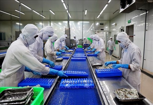 Workers process shrimp for export in Coastal Fisheries Development Corporation in Ho Chi Minh City. (Photo: VNA)