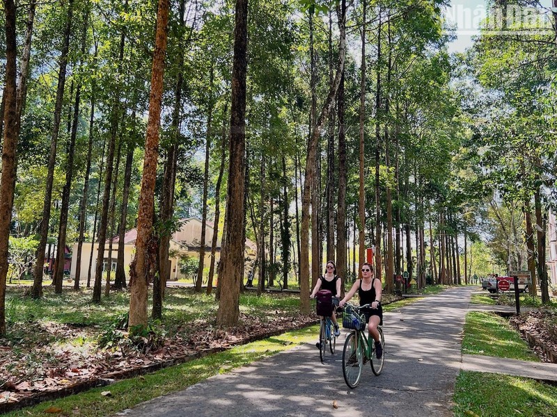 To explore Nam Cat Tien Forest, many tourists choose to rent bicycles, combined with walking.