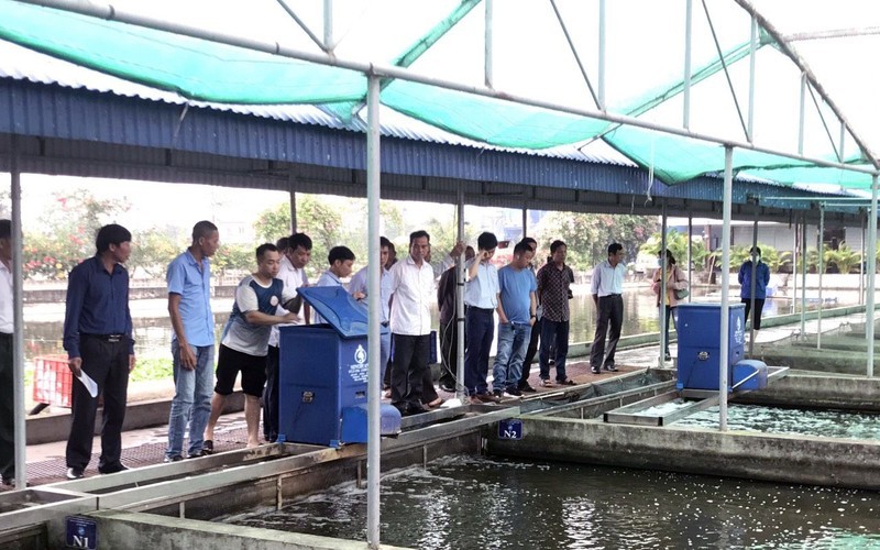 Xuyen Viet Seafood Production and Trade Cooperative (Hai Duong) brings many benefits, attracting many members to participate. (Photo: Le Viet)