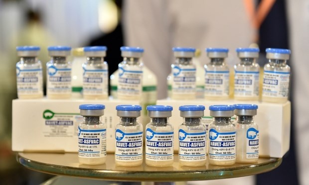 Vietnamese companies ready to export African swine fever vaccines. (Photo: VNA)