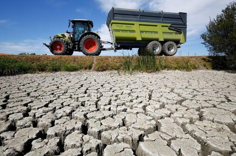 A cracked and dry earth at the Marais Breton in Villeneuve-en-Retz, as a historical drought hits France, August 8, 2022. (Photo: Reuters)