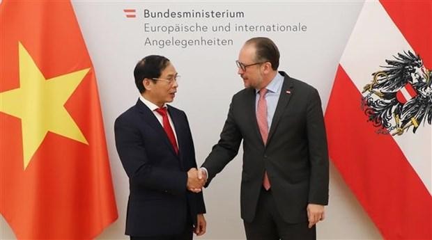 Foreign Minister Bui Thanh Son (left) meets his Austrian counterpart Alexander Schallenberg. (Photo: VNA)