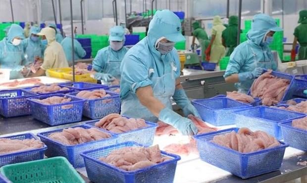 Export turnover of aquatic products tops 8.5 billion USD in the first nine months of 2022 (Photo: VNA)