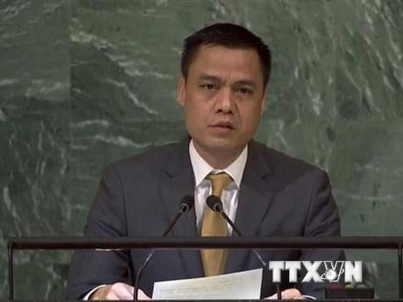Ambassador Dang Hoang Giang (Photo: VNA)