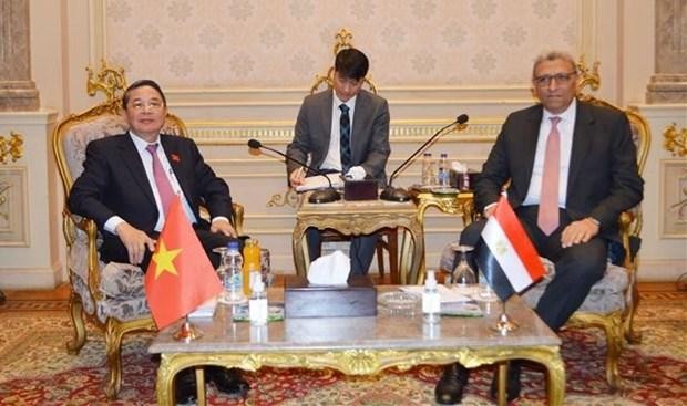 NA Vice Chairman Nguyen Duc Hai (L) and First Deputy Speaker of the Egyptian House of Representatives Ahmed Saad El-Din Mohamed Abd El-Rehim (Photo: VNA)