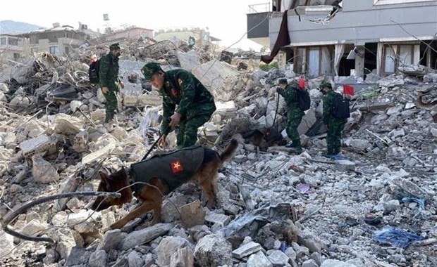 Vietnamese sappers on February 14 locate three points where victims are buried under debris. (Photo: VNA) 