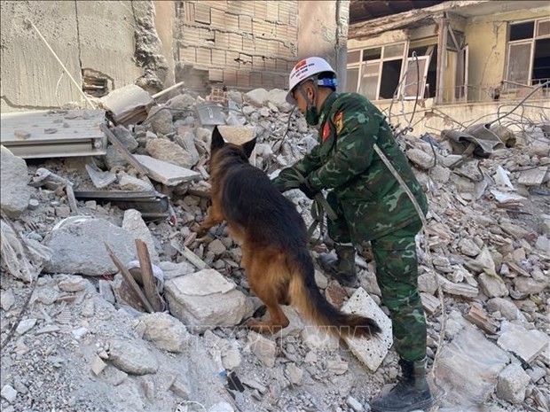 A Vietnamese rescuer and a sniffer dog are searching for earthquake victims in Hatay province of Turkey (Photo: VNA)