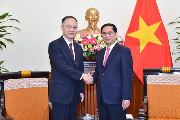 Vietnamese Minister of Foreign Affairs Bui Thanh Son (right) and Chinese Assistant Minister of Foreign Affairs Nong Rong. (Photo: VNA)