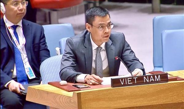 Ambassador Dang Hoang Giang, Vietnam's Permanent Representative to the United Nations (Photo: VNA)