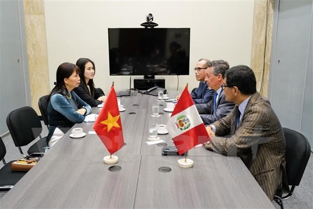 Outgoing Vietnamese Ambassador to Brazil and Peru Pham Thi Kim Hoa at the working session with representatives of the Peruvian Ministry of Foreign Affairs (Photo: VNA)