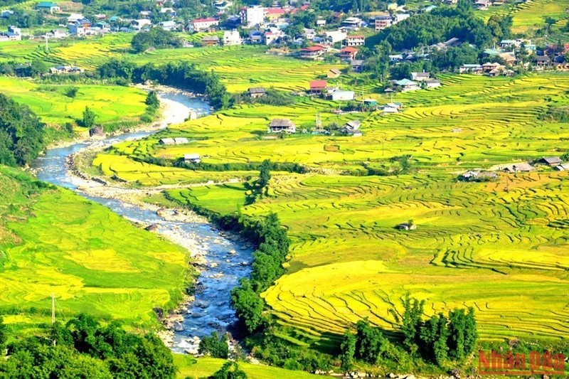 The stream flowing along the Muong Hoa Valley enhances the beauty of the terraced fields during the ripe rice season. (Photo: Quoc Hong)