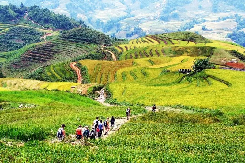 According to a recent survey by Traveloka, Sapa is currently a favourite destination of visitors in the Southeast Asian region.