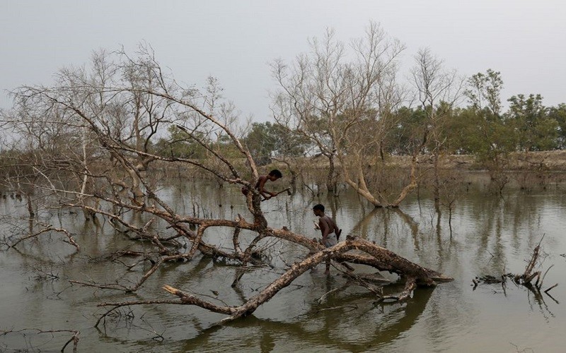 Climate change has been causing severe impacts on the globe. (Photo: Reuters)