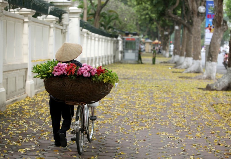 Autumn is the most beautiful season of Hanoi.