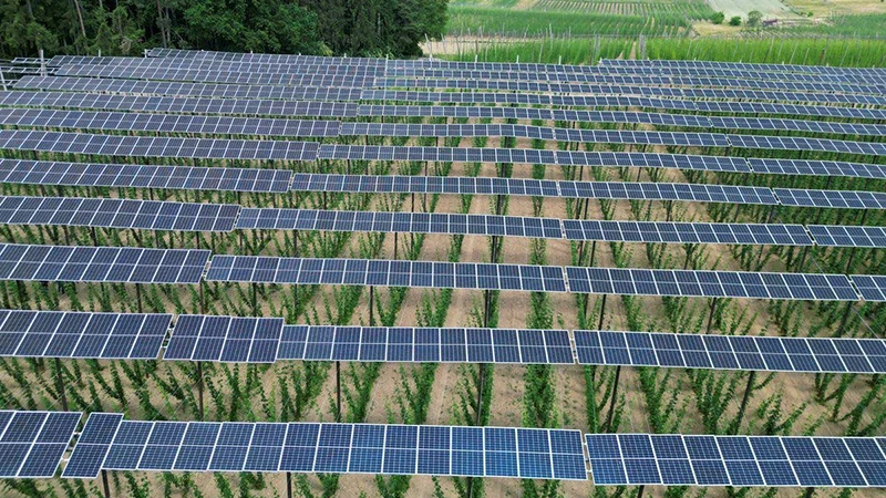 Solar batteries installed on a plantation in Germany. (Photo: REUTERS)
