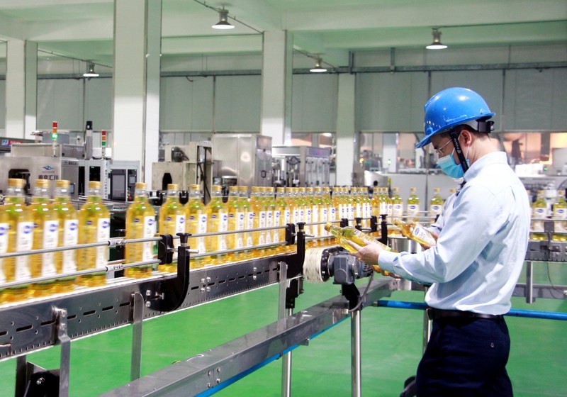 At Cai Lan Vegetable Oil Company Limited. (Photo: baoquangninh.vn)