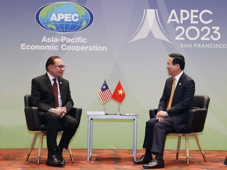 Vietnamese President Vo Van Thuong (R) meets with Malaysian Prime Minister Anwar Ibrahim in San Francisco, the US, on November 16 morning (local time) (Photo: VNA)