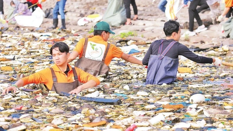 Volunteers collect trash along the Go Cong sea dyke. (Photo: NGUYEN SU)