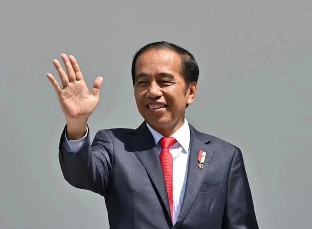 Indonesian President Joko Widodo (Photo: AFP) 