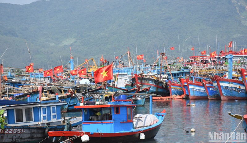 Hundreds of fishing boats are anchored at Tho Quang dry lock and fishing port will set sail on for the first trip of the lunar new year in the next few days.