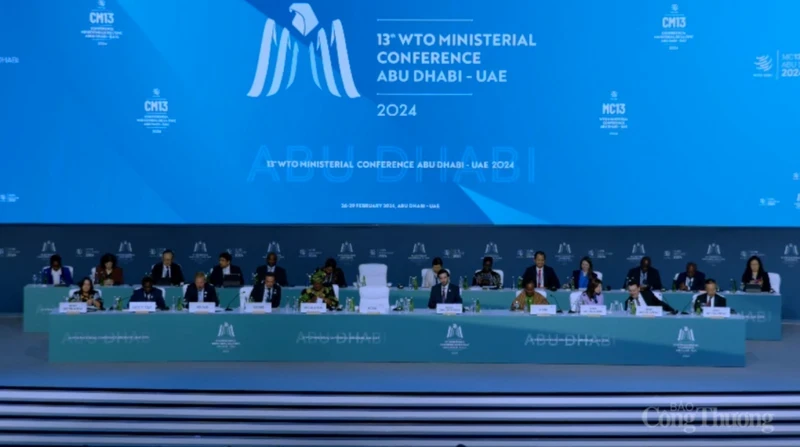 At the WTO's 13th Ministerial Conference (MC13). (Photo: Ministry of Industry and Trade)