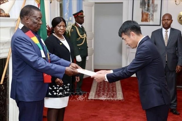 Vietnamese Ambassador to South Africa and Zimbabwe Hoang Sy Cuong (R) presents his credential letter to Zimbabwean President Emmerson Mnangagwa. (Photo: VNA) 