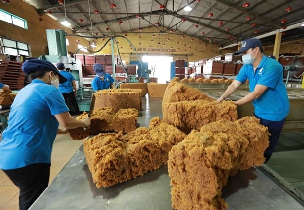Workers at a rubber factory in the southern province of Binh Phuoc. (Photo: VNA)