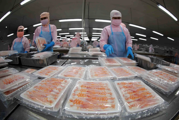 Workers produce frozen shrimp for export at a factory of the Minh Phu Seafood Corp. (Photo: VNA)