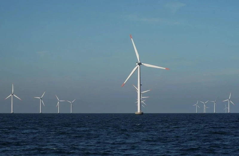 Nysted offshore wind turbines in Denmark. (Photo: Reuters)