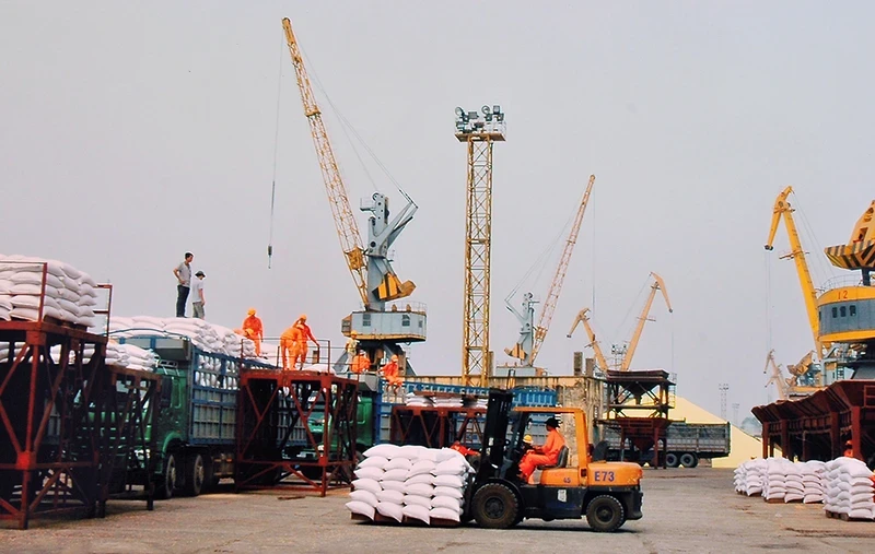 Loading and unloading goods at Chua Ve Port in Hai Phong City. (Photo: NAM ANH)